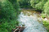 07_27 (22)